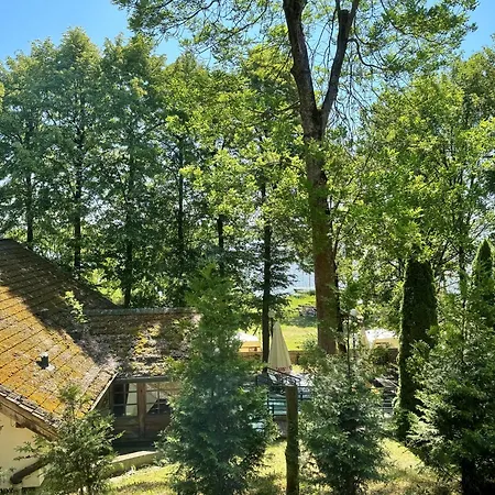 Geovita * Ядвісін
